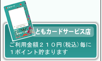 アンビシャス・車盗難防止装置